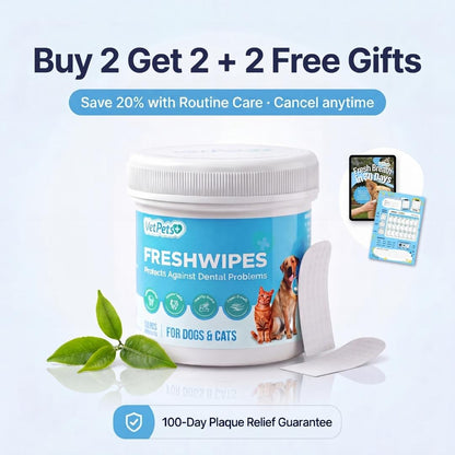 SmileWipes Plaque Relief Kit